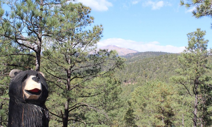Ruidoso Cabin | A playful cabin nestled above the tall pines