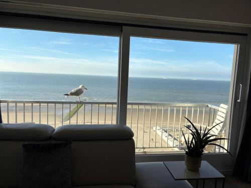 Blankenberge Apartment | A&S Sea Vieuw 1