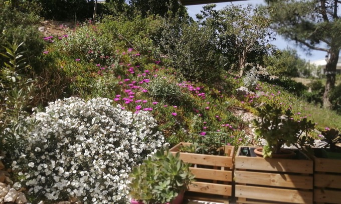 Bonneveine Bed & Breakfast | A well-appointed B&B close to the beach, ideal for a traveling couple.