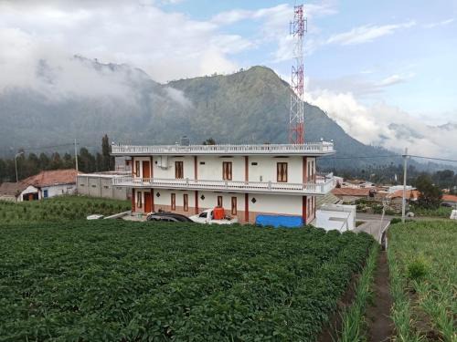 Ngadisari House | AAA, Astungkara, Amazing Bromo Villa, Managed by Triple A Tour, Additional Bromo Jeep Tour and Airport Shuttle