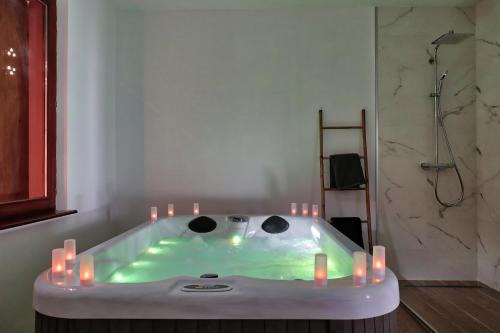 Benfeld Apartment | Ab gite et spa