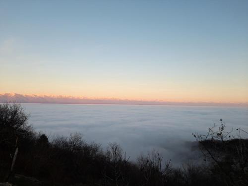 Sighnaghi House | Abramichi Guest House