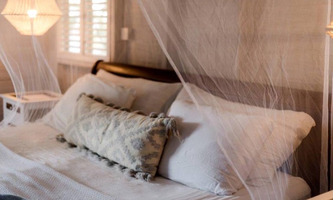 Bathsheba Other | Accommodation ∙ 1 bedroom ∙ 3 guests