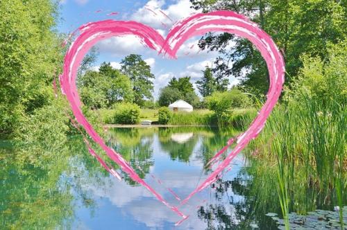 Storwood Cabin | Acorn Glade Glamping York