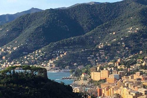 Camogli Apartment | Acqua Marina