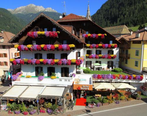 Predazzo Hotel | Active Hotel Ancora