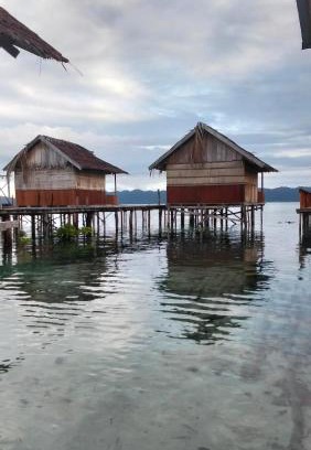 Arborek House | Adefiro homestay
