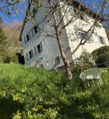 Waldshut-Tiengen House | Adlerhorst4