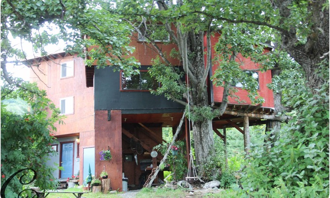 Homer Cabin | Adorable Tree House/Full Ammenities