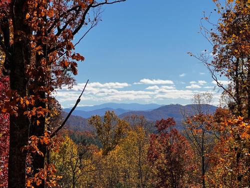 Murphy House | Adventure Ridge Luxury Log Cabin with Mountain View