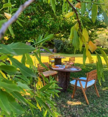 Buddittogliu Straulas Bed & Breakfast | Affittacamere La Petra Longa