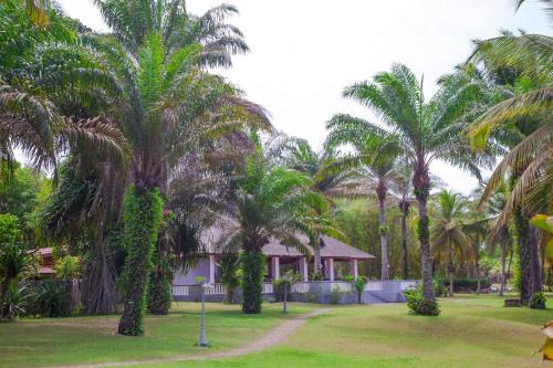 Assinie Hotel | African Queen Lodge