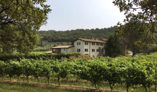 Bardolino Apartment | Agriturismo Ca' Castellani