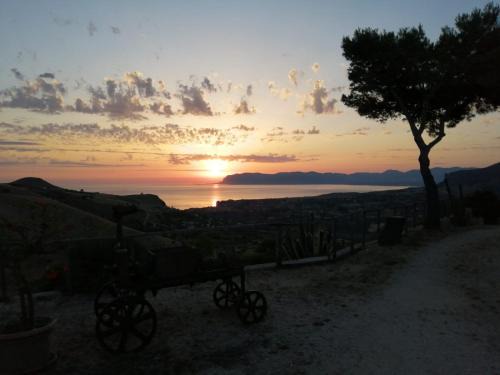 Castellammare del Golfo House | Agriturismo Finazzo