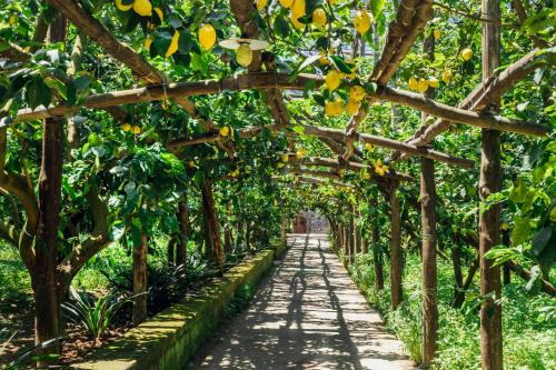 Marina di Puolo House | Agriturismo Il Giardino di Vigliano