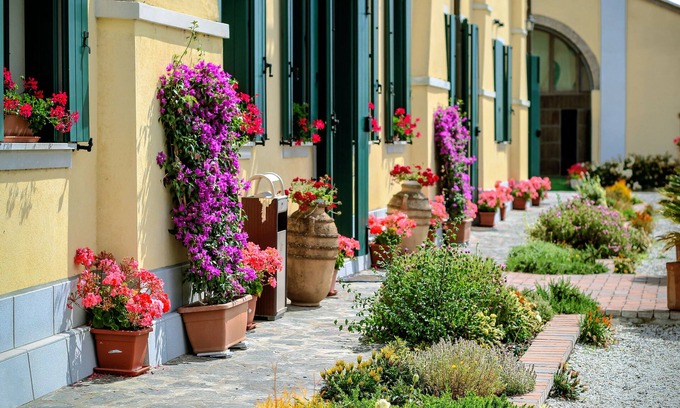 Fenil del Turco Other | Agriturismo Millefiori Corte delle Rose