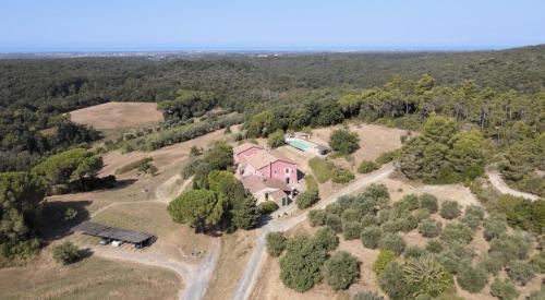 Riparbella Apartment | Agriturismo Piccolo Paradiso