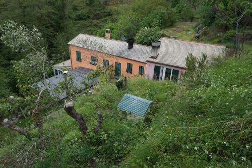 Levanto House | Agriturismo U muinettu