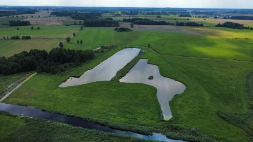 Nowe Dłutowo House | Agroturystyka Grodzisko