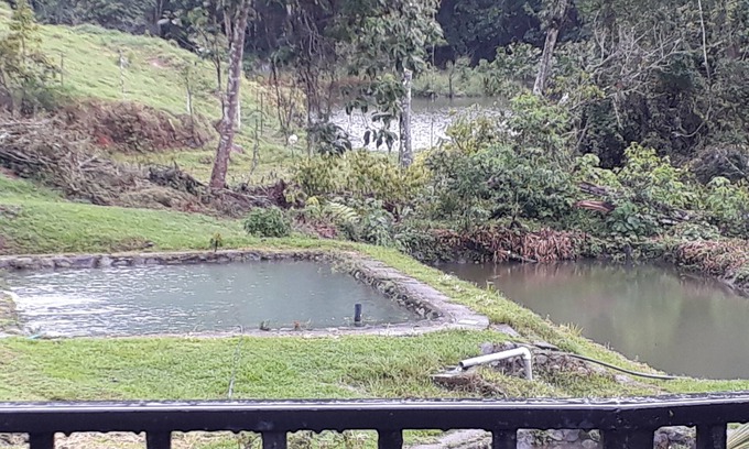 Platanares Cottage | Agua Azul Lodging