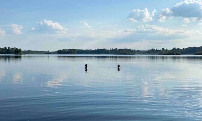 Agunnaryd Cottage | Agundaborg Lake Cottage