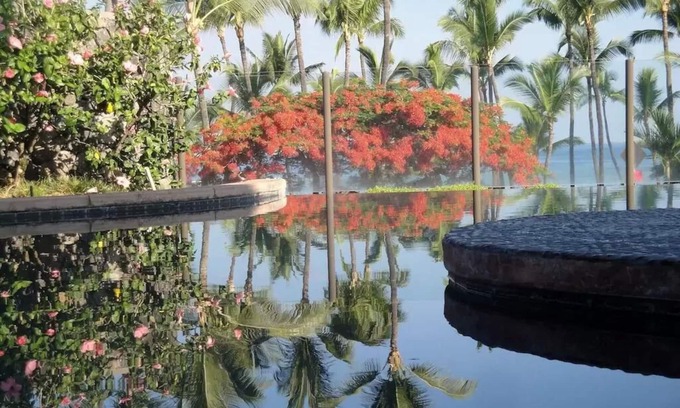 Kahaluu Bay Condo | Ahhhhh. PARADISE. OCEAN VIEW, Beach Snorkel Surf
