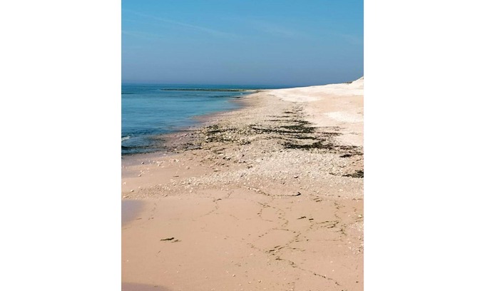 Champagne-les-Marais House | air-conditioned studio near La Rochelle and the Vendée beaches!