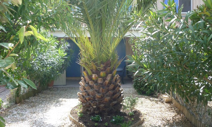 Portiragnes-Plage House | Air-conditioned villa with wifi pool in residence 300 m from the beach