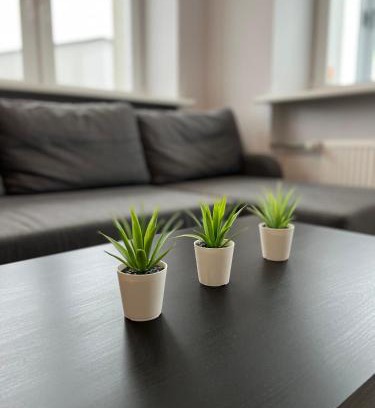 Siauliai County Apartment | Akmene Center Apartment