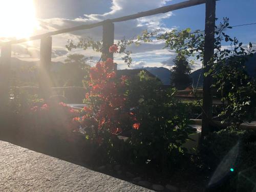 Piazzogna Bed & Breakfast | Al Grottino