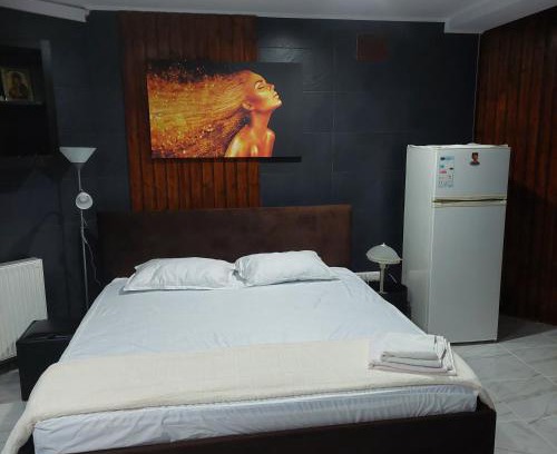 Calimanesti Apartment | Alex