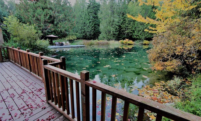 Ashford Hotel | Alexander's Lodge