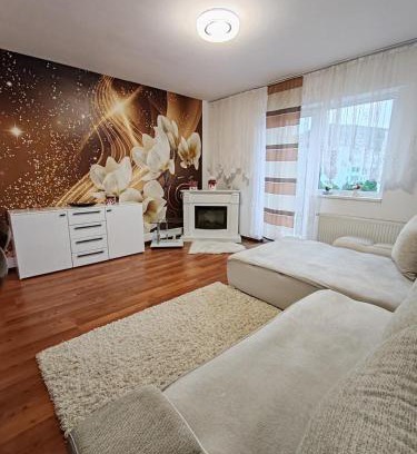 Zarnesti Apartment | Alinaalis