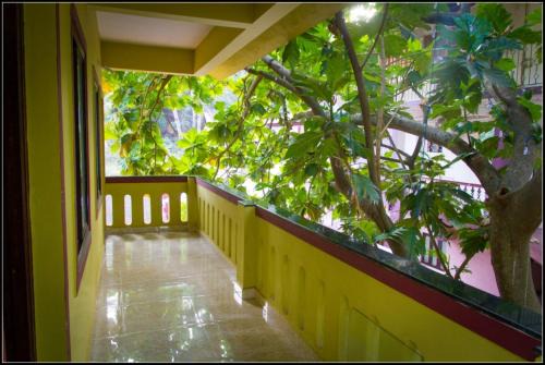 Bogmolo House | All Seasons Guest House
