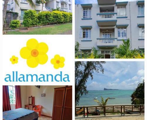Bain Boeuf Apartment | Allamanda Apartments - 100m Bain Boeuf Beach