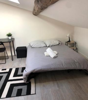 Saint-Etienne Apartment | Allies 201 super studio refait a neuf