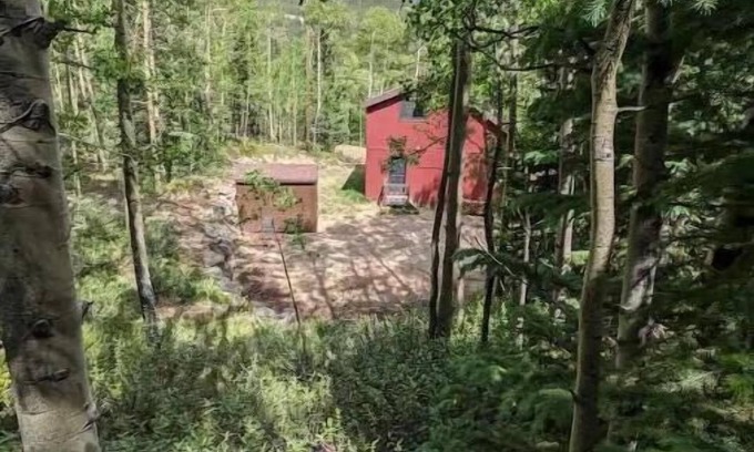Alma House | Alma Family Getaway! 13 Miles to Breck! Starlink!