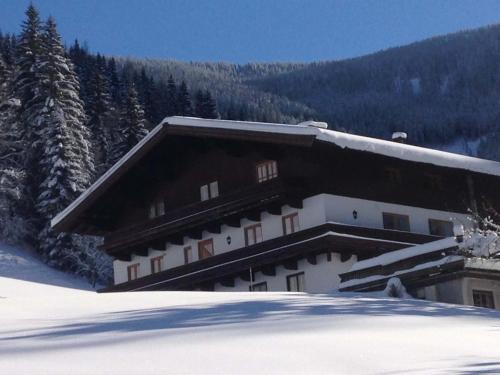 Leogang Apartment | Almliesl LEOG-685