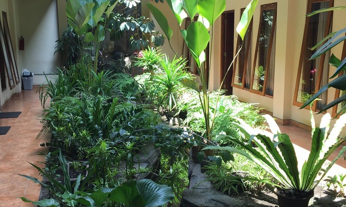 Prawirotaman Hotel | Aloha Hotel