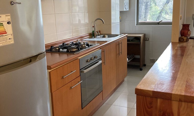 Pucon Apartment | Alojamiento en Camino de Subida a Volcán