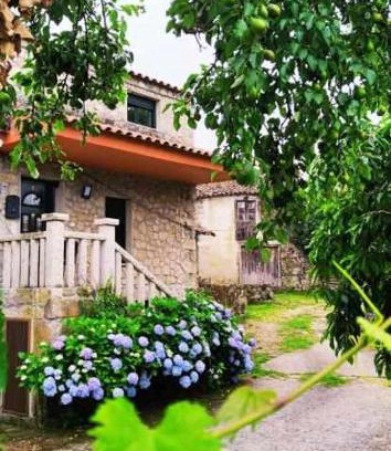 Sober House | Alojamiento Pena da Osa