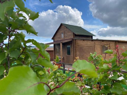 Setenil de las Bodegas House | Alojamiento Rural Setenil