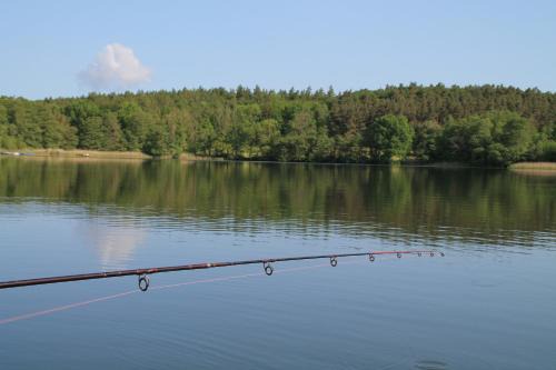 Krakow am See Apartment | Alt Sammit