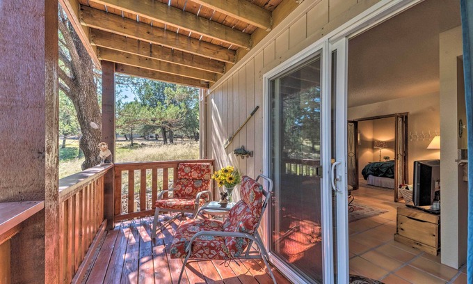Alto Apartment | Alto Adventure Base w/Deck: Hike, Bike & Ski!