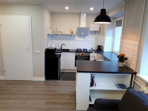 Alytus Apartment | Alytus Ziburio studio