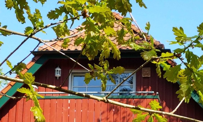 Ostseebad Prerow Apartment | Am Bernsteinweg