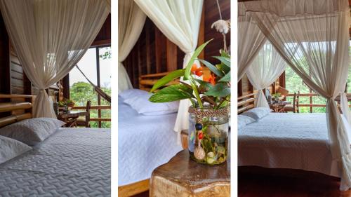 Ramonurcu House | Amanecer Amazonico