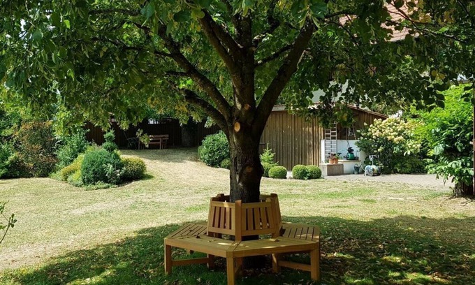 Goessweinstein Apartment | Amazing apartment in Gößweinstein