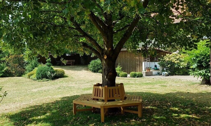Goessweinstein Apartment | Amazing apartment in Gößweinstein