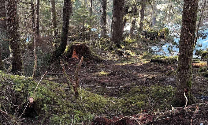 Bear Creek RV Rental | Amazing Campsite in Seward